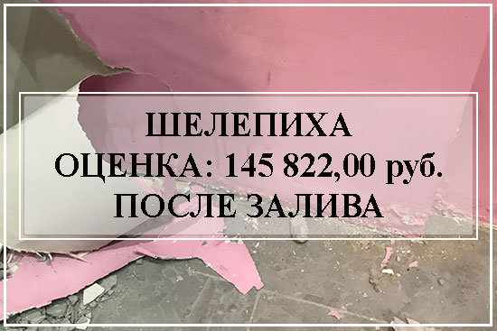 Оценка-Шелепиха-залив-квартиры-145-822-руб